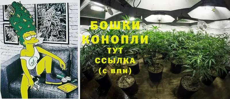 Канабис THC 21%  Волгореченск 